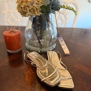 Gold Steve Madden flat